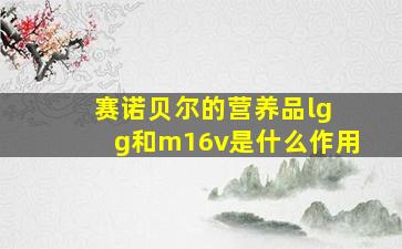 赛诺贝尔的营养品lg g和m16v是什么作用